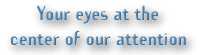 Your eyes at the center of our attention